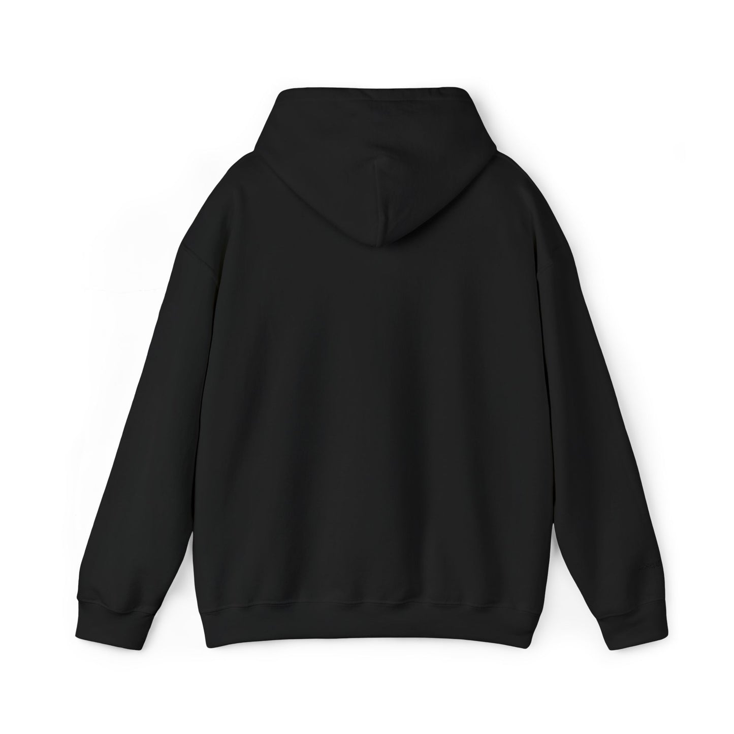 Aurelius® - "No Pierdo. Gano." Hoodie