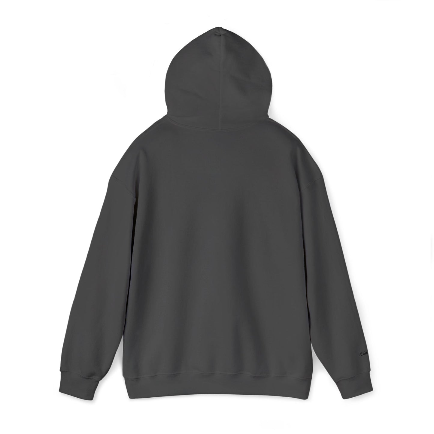 Aurelius® - "No Pierdo. Gano." Hoodie