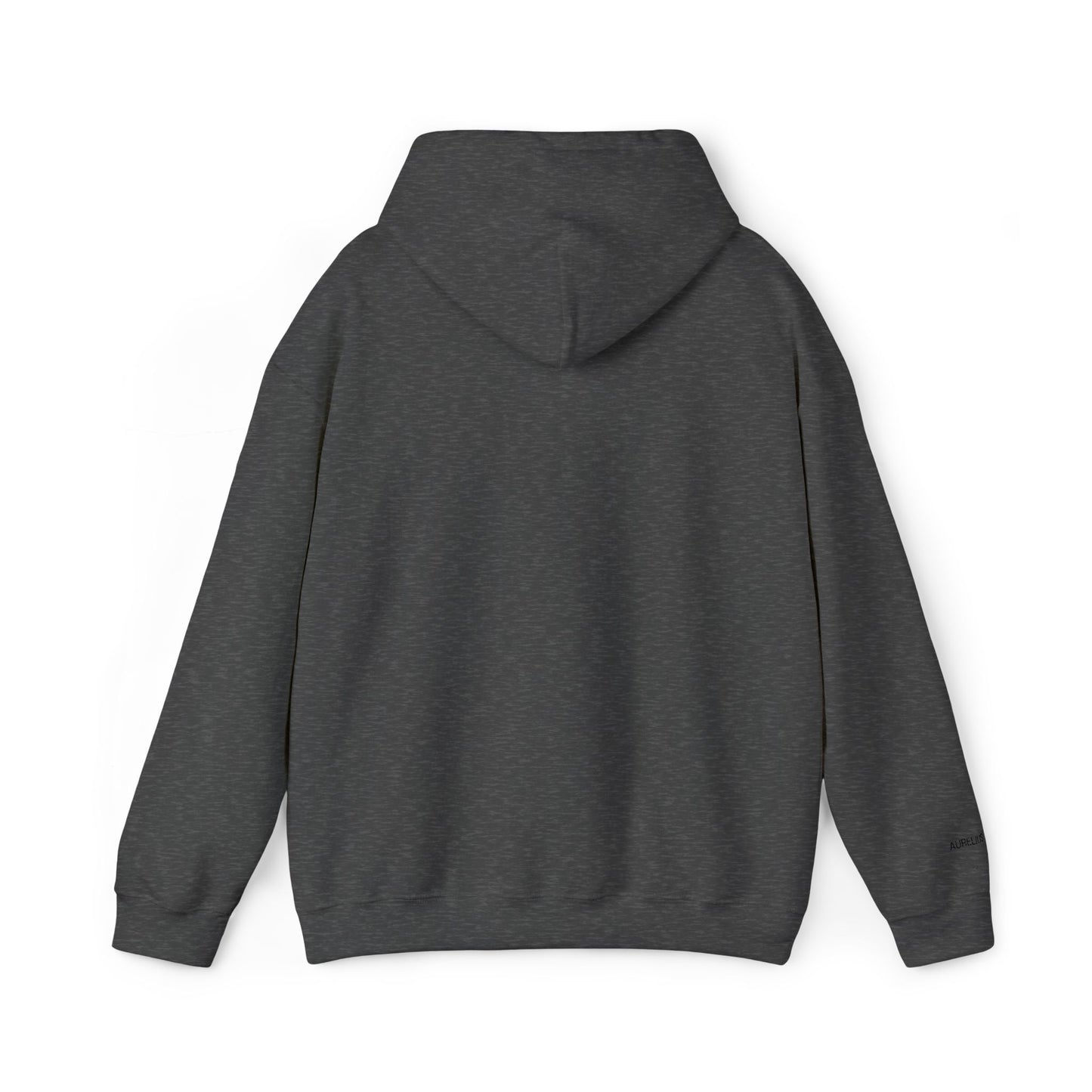Aurelius® - "No Pierdo. Gano." Hoodie
