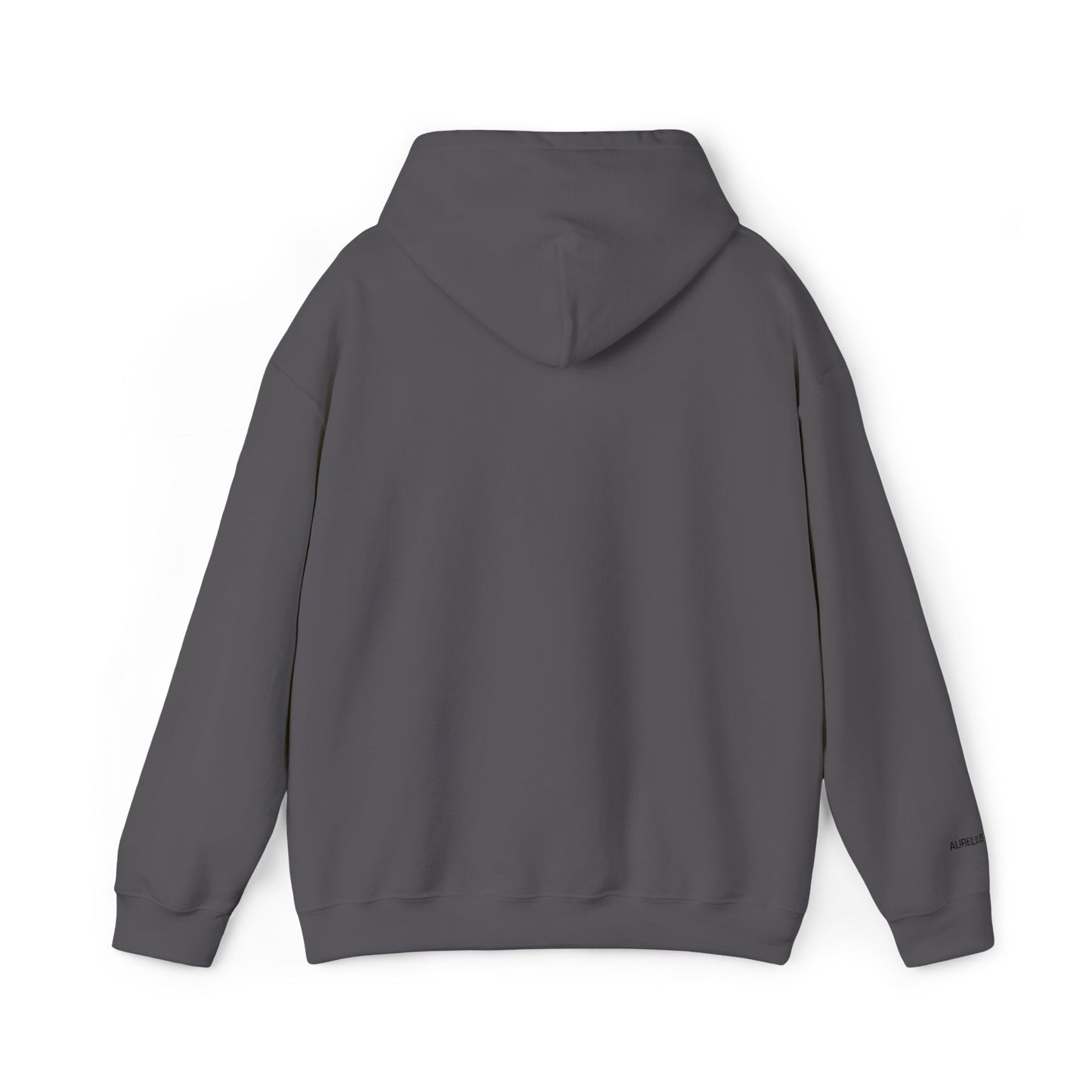 Aurelius® - "No Pierdo. Gano." Hoodie